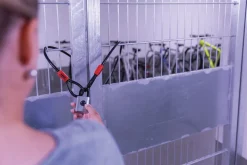 Abus Touch 57/45 hengelås med fingeravtrykksleser, utendørs