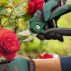 Bosch EasyPrune batteridrevet beskjæringssaks med bypass 3,6 V