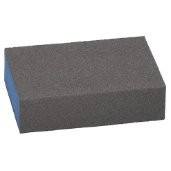 Bosch grov slipesvamp