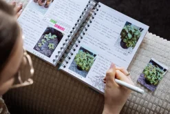 Canon Zoemini Zink fotopapir