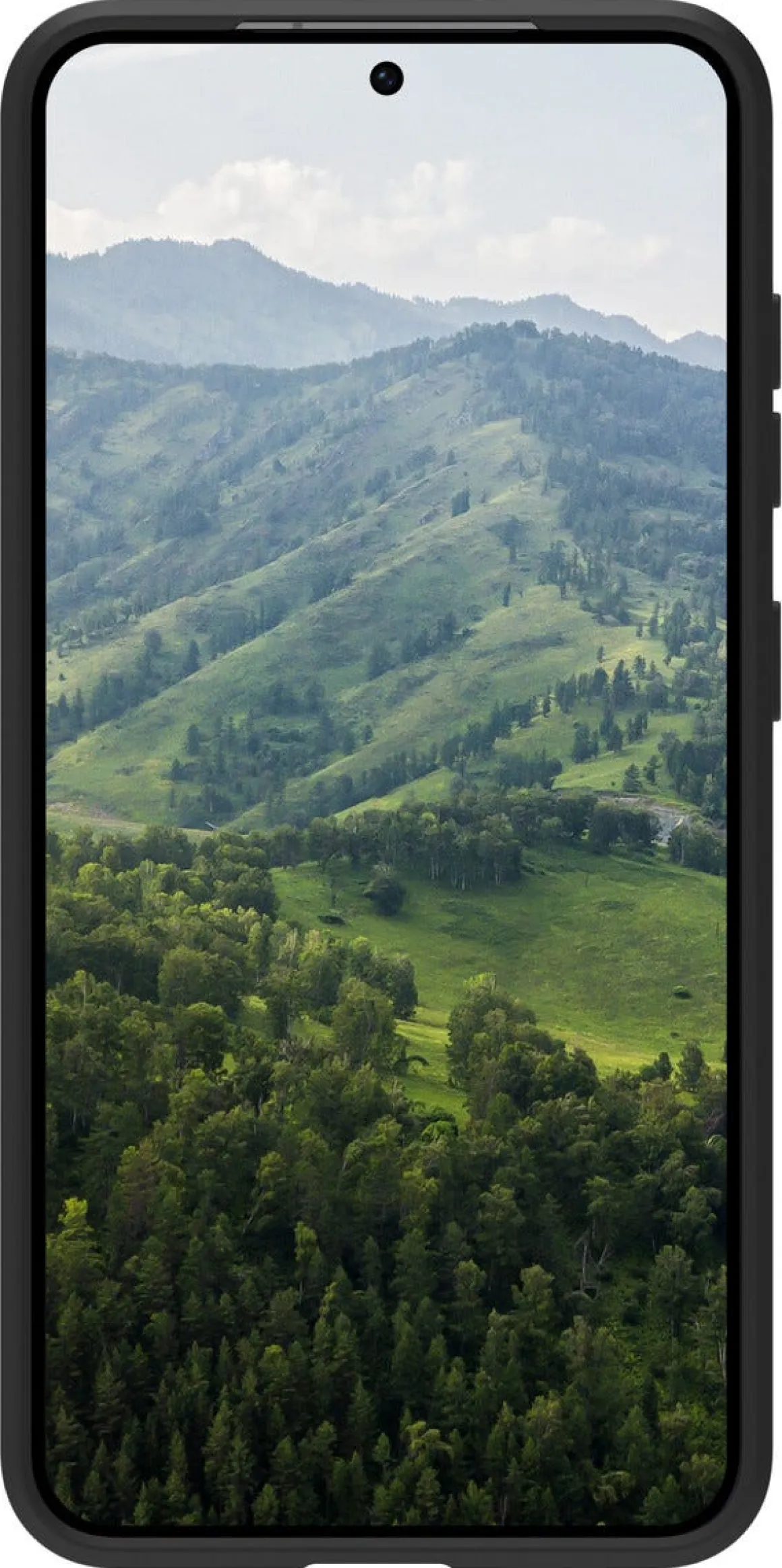 dbramante1928 Greenland Pro Samsung Galaxy S25 mobildeksel