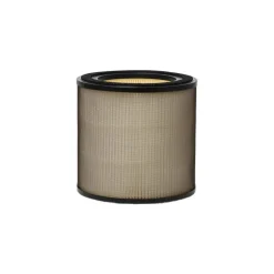 Electrolux EFFBTH2 Breathe Pollen-filter til Pure 300