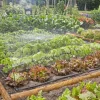 Gardena startsett vanning i kjøkkenhage, 60 m2.