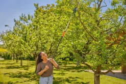 Gardena StarCut Pro S toppsaks, hagesaks med teleskopskaft, 160 cm