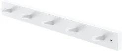 Knaggrekke bøk, 48 cm