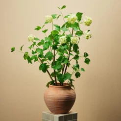 Kunstig hagehortensia, hvit, 98 cm