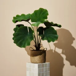 Kunstig plante i potte Licuala 70 cm
