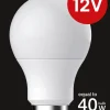 Lavvolts LED-pære E27 12 V