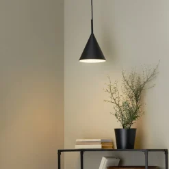 Northlight Cone lampe og vekstlys til vindu, svart