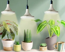Plantelyspære LED E27 fullspektrum til vekstlys, 32 W