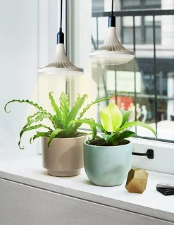 Plantelyspære LED E27 fullspektrum til vekstlys, 32 W