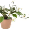 Plastblomst i potte, sommerplante med hvite blomster