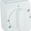 Schneider Aqua 2-polet utenpåliggende vristrømbryter