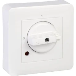 Schneider Exxact strømbryter vaskemaskin 3-polet innfelt