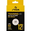Stiga Training 40+ bordtennisballer, 12-pakning