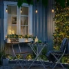 Tuja med LED-belysning